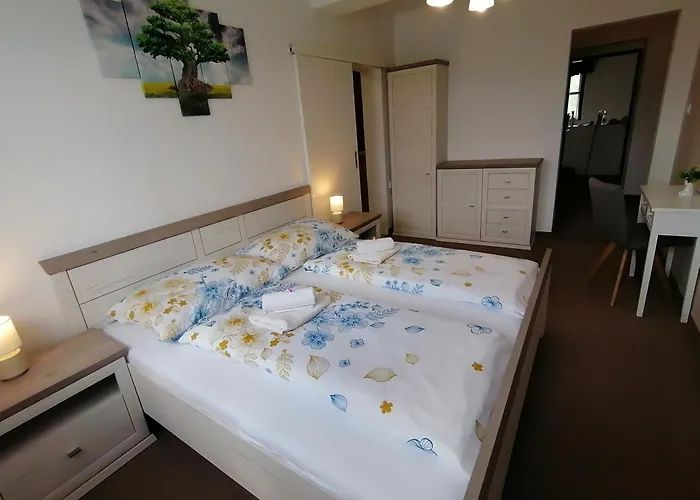Nelli Hořice na Šumavě